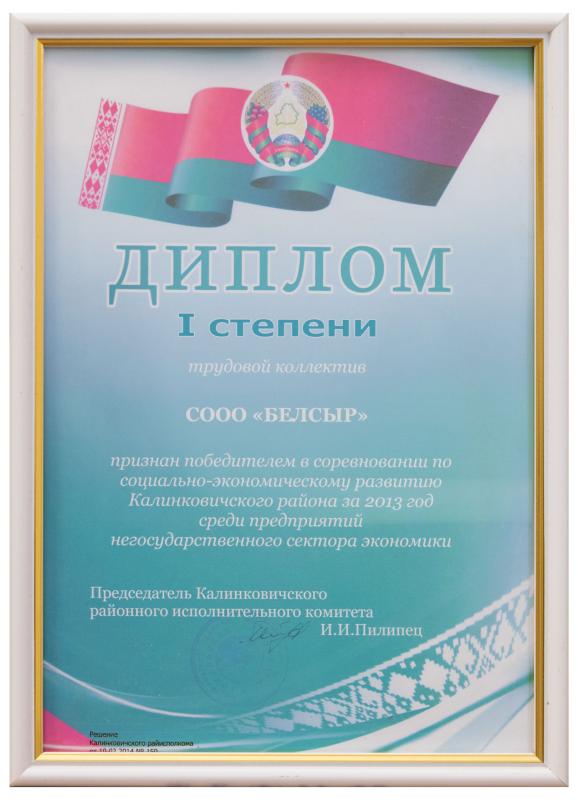 Диплом 1 степени 2013